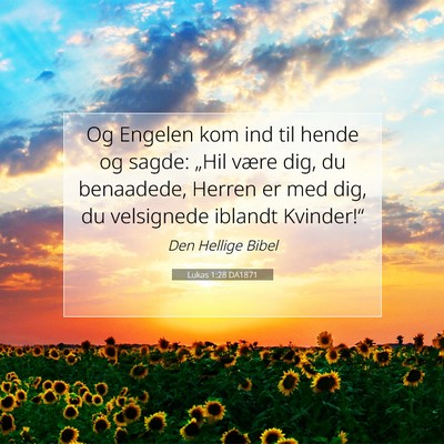 Picture 07 - Lukas 1:28 DA1871 - Og Engelen kom ind til hende og sagde: „Hil - Bible Verse Picture
