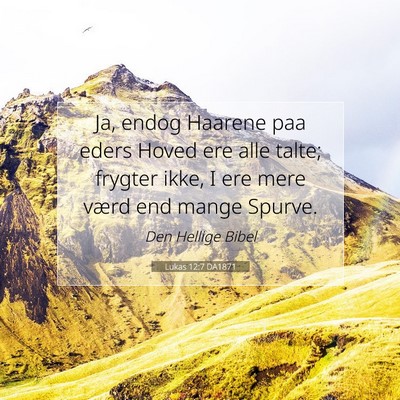 Picture 07 - Lukas 12:7 DA1871 - Ja, endog Haarene paa eders Hoved ere alle talte; - Bible Verse Picture