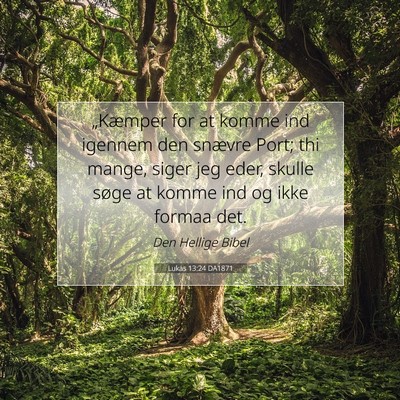 Picture 07 - Lukas 13:24 DA1871 - „Kæmper for at komme ind igennem den snævre - Bible Verse Picture