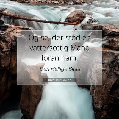 Picture 07 - Lukas 14:2 DA1871 - Og se, der stod en vattersottig Mand foran - Bible Verse Picture