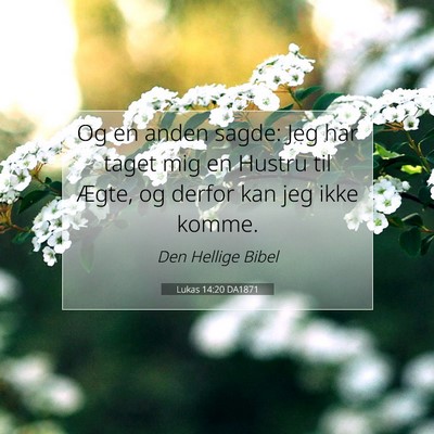 Picture 07 - Lukas 14:20 DA1871 - Og en anden sagde: Jeg har taget mig en Hustru - Bible Verse Picture