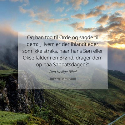 Picture 07 - Lukas 14:5 DA1871 - Og han tog til Orde og sagde til dem: „Hvem er - Bible Verse Picture