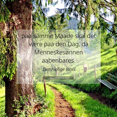Picture 07 - Lukas 17:30 DA1871 - paa samme Maade skal det være paa den Dag, da - Bible Verse Picture