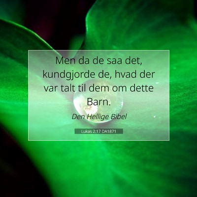 Picture 07 - Lukas 2:17 DA1871 - Men da de saa det, kundgjorde de, hvad der var - Bible Verse Picture