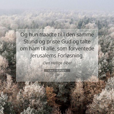Picture 07 - Lukas 2:38 DA1871 - Og hun traadte til i den samme Stund og priste - Bible Verse Picture