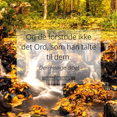 Picture 07 - Lukas 2:50 DA1871 - Og de forstode ikke det Ord, som han talte til - Bible Verse Picture
