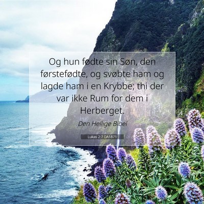 Picture 07 - Lukas 2:7 DA1871 - Og hun fødte sin Søn, den førstefødte, og - Bible Verse Picture