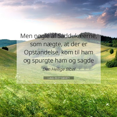 Picture 07 - Lukas 20:27 DA1871 - Men nogle af Saddukæerne, som nægte, at der er - Bible Verse Picture