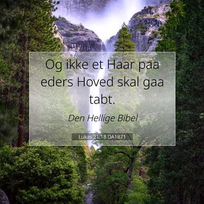 Picture 07 - Lukas 21:18 DA1871 - Og ikke et Haar paa eders Hoved skal gaa - Bible Verse Picture