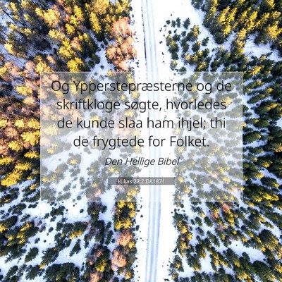 Picture 07 - Lukas 22:2 DA1871 - Og Ypperstepræsterne og de skriftkloge søgte, - Bible Verse Picture