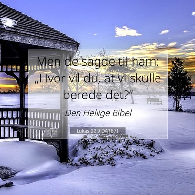 Picture 07 - Lukas 22:9 DA1871 - Men de sagde til ham: „Hvor vil du, at vi - Bible Verse Picture