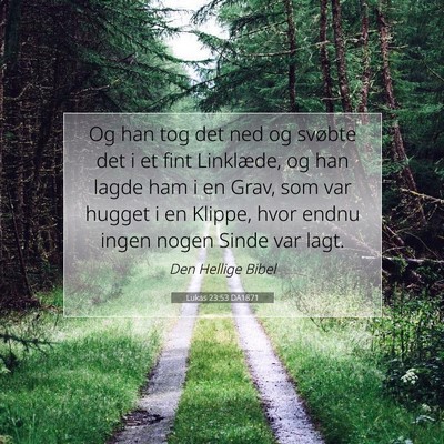 Picture 07 - Lukas 23:53 DA1871 - Og han tog det ned og svøbte det i et fint - Bible Verse Picture