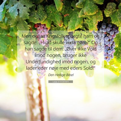 Picture 07 - Lukas 3:14 DA1871 - Men ogsaa Krigsfolk spurgte ham og sagde: „Hvad - Bible Verse Picture