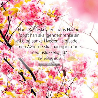 Picture 07 - Lukas 3:17 DA1871 - Hans Kasteskovl er i hans Haand, for at han skal - Bible Verse Picture