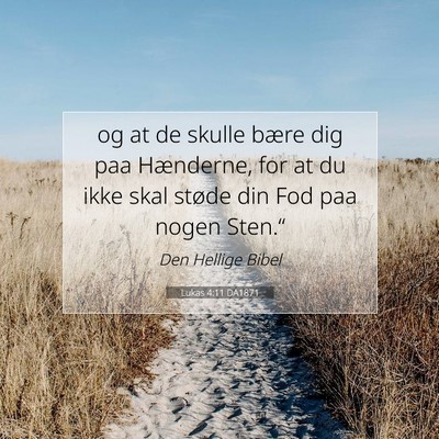 Picture 07 - Lukas 4:11 DA1871 - og at de skulle bære dig paa Hænderne, for at - Bible Verse Picture