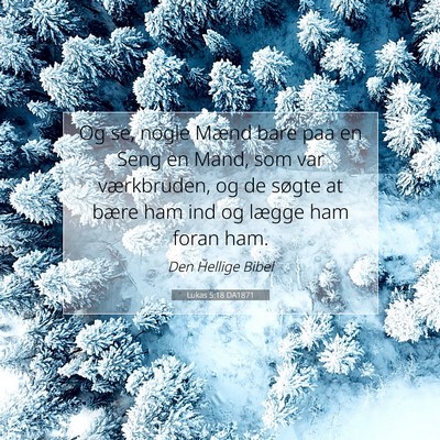 Picture 07 - Lukas 5:18 DA1871 - Og se, nogle Mænd bare paa en Seng en Mand, som - Bible Verse Picture