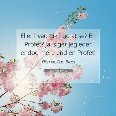 Picture 07 - Lukas 7:26 DA1871 - Eller hvad gik I ud at se? En Profet? Ja, siger - Bible Verse Picture
