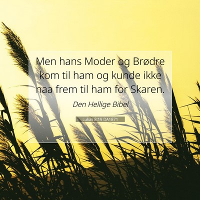 Picture 07 - Lukas 8:19 DA1871 - Men hans Moder og Brødre kom til ham og kunde - Bible Verse Picture
