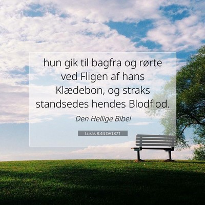 Picture 07 - Lukas 8:44 DA1871 - hun gik til bagfra og rørte ved Fligen af hans - Bible Verse Picture