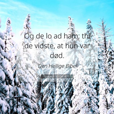 Picture 07 - Lukas 8:53 DA1871 - Og de lo ad ham; thi de vidste, at hun var - Bible Verse Picture