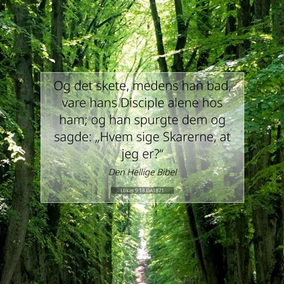 Picture 07 - Lukas 9:18 DA1871 - Og det skete, medens han bad, vare hans Disciple - Bible Verse Picture