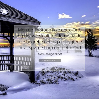 Picture 07 - Lukas 9:45 DA1871 - Men de forstode ikke dette Ord, og det var skjult - Bible Verse Picture