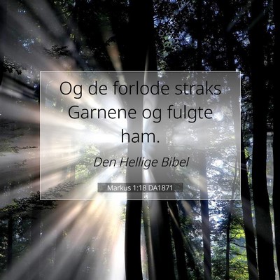 Picture 07 - Markus 1:18 DA1871 - Og de forlode straks Garnene og fulgte - Bible Verse Picture
