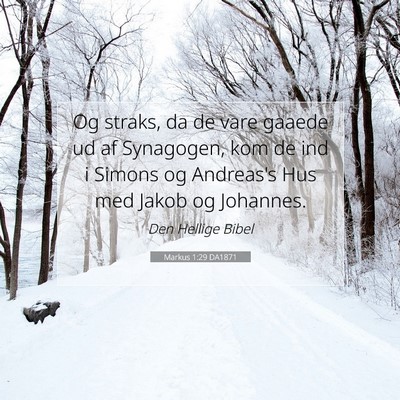 Picture 07 - Markus 1:29 DA1871 - Og straks, da de vare gaaede ud af Synagogen, kom - Bible Verse Picture