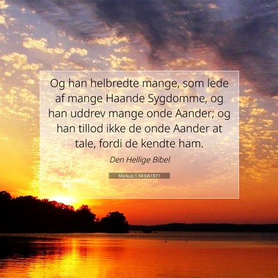 Picture 07 - Markus 1:34 DA1871 - Og han helbredte mange, som lede af mange Haande - Bible Verse Picture