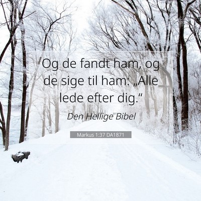 Picture 07 - Markus 1:37 DA1871 - Og de fandt ham, og de sige til ham: „Alle lede - Bible Verse Picture