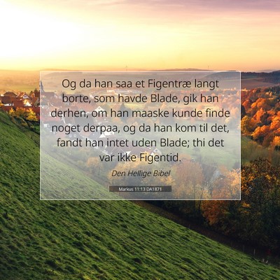 Picture 07 - Markus 11:13 DA1871 - Og da han saa et Figentræ langt borte, som havde - Bible Verse Picture