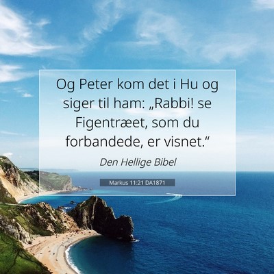 Picture 07 - Markus 11:21 DA1871 - Og Peter kom det i Hu og siger til ham: „Rabbi! - Bible Verse Picture