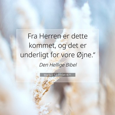 Picture 07 - Markus 12:11 DA1871 - Fra Herren er dette kommet, og det er underligt - Bible Verse Picture