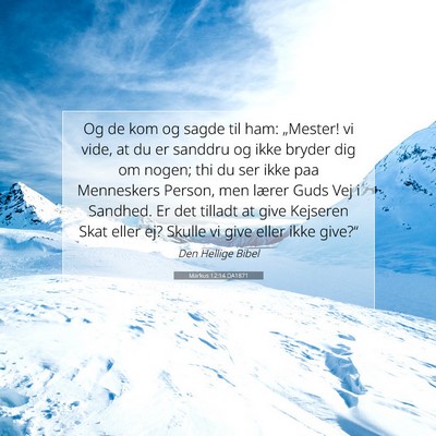Picture 07 - Markus 12:14 DA1871 - Og de kom og sagde til ham: „Mester! vi vide, - Bible Verse Picture