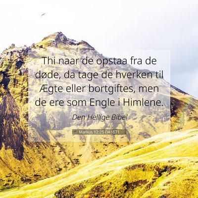 Picture 07 - Markus 12:25 DA1871 - Thi naar de opstaa fra de døde, da tage de - Bible Verse Picture