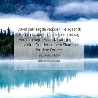 Picture 07 - Markus 12:36 DA1871 - David selv sagde ved den Helligaand: Herren sagde - Bible Verse Picture