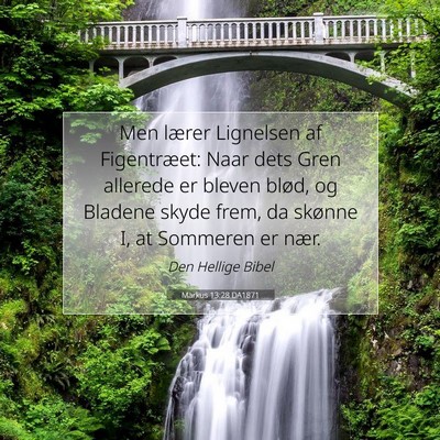 Picture 07 - Markus 13:28 DA1871 - Men lærer Lignelsen af Figentræet: Naar dets - Bible Verse Picture