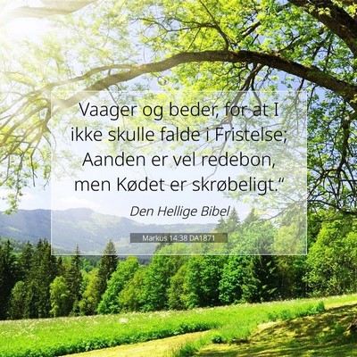 Picture 07 - Markus 14:38 DA1871 - Vaager og beder, for at I ikke skulle falde i - Bible Verse Picture