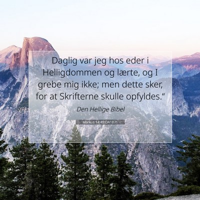 Picture 07 - Markus 14:49 DA1871 - Daglig var jeg hos eder i Helligdommen og lærte, - Bible Verse Picture