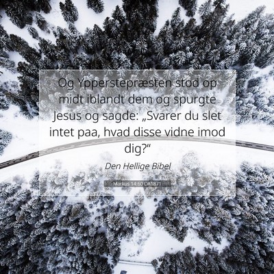 Picture 07 - Markus 14:60 DA1871 - Og Ypperstepræsten stod op midt iblandt dem og - Bible Verse Picture