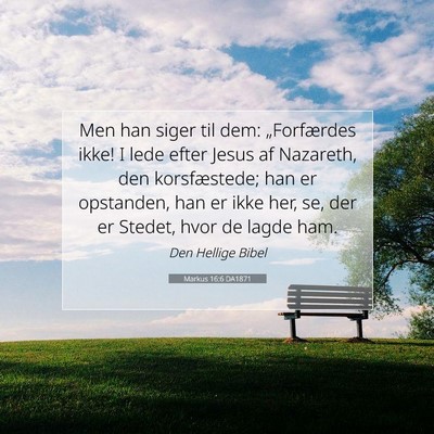 Picture 07 - Markus 16:6 DA1871 - Men han siger til dem: „Forfærdes ikke! I lede - Bible Verse Picture