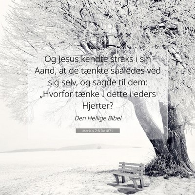 Picture 07 - Markus 2:8 DA1871 - Og Jesus kendte straks i sin Aand, at de tænkte - Bible Verse Picture