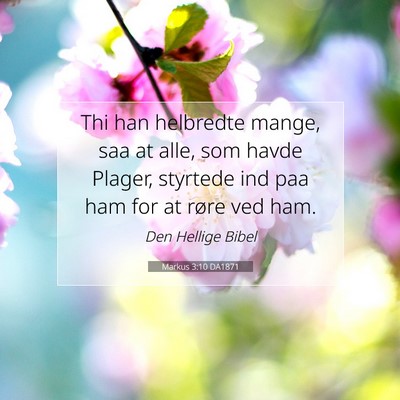 Picture 07 - Markus 3:10 DA1871 - Thi han helbredte mange, saa at alle, som havde - Bible Verse Picture
