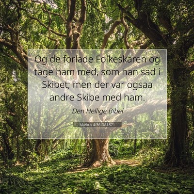 Picture 07 - Markus 4:36 DA1871 - Og de forlade Folkeskaren og tage ham med, som - Bible Verse Picture
