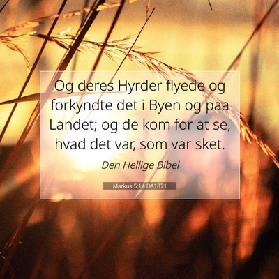 Picture 07 - Markus 5:14 DA1871 - Og deres Hyrder flyede og forkyndte det i Byen og - Bible Verse Picture