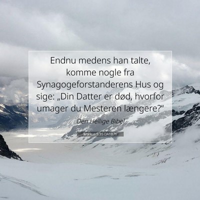 Picture 07 - Markus 5:35 DA1871 - Endnu medens han talte, komme nogle fra - Bible Verse Picture
