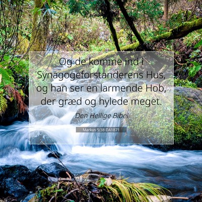 Picture 07 - Markus 5:38 DA1871 - Og de komme ind i Synagogeforstanderens Hus, og - Bible Verse Picture
