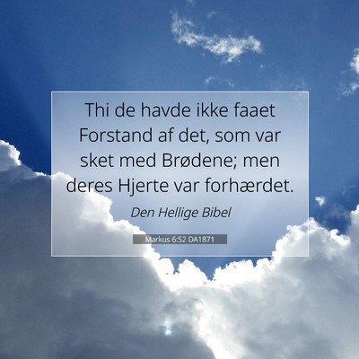 Picture 07 - Markus 6:52 DA1871 - Thi de havde ikke faaet Forstand af det, som var - Bible Verse Picture