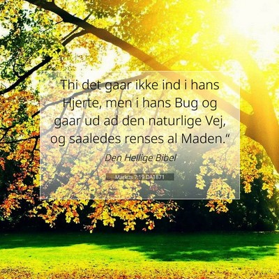Picture 07 - Markus 7:19 DA1871 - Thi det gaar ikke ind i hans Hjerte, men i hans - Bible Verse Picture