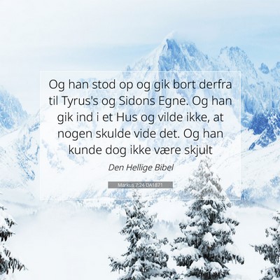 Picture 07 - Markus 7:24 DA1871 - Og han stod op og gik bort derfra til Tyrus's og - Bible Verse Picture
